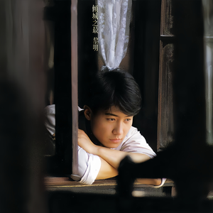 星莱克尔《护士日记》的剧情简介
