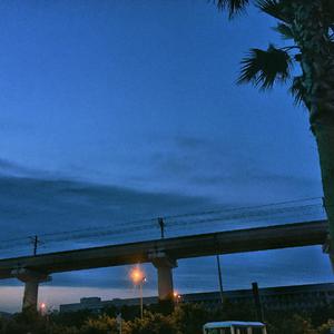 星莱克尔《护士日记》的剧情简介
