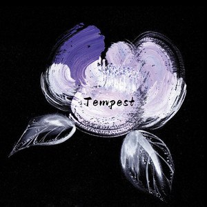 星莱克尔《护士日记》的剧情简介
