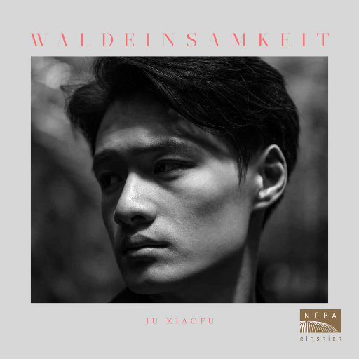 星莱克尔《护士日记》的剧情简介
